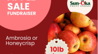 Welcome back parents, students and teachers! We are looking forward to another great year at Brentwood Park and wanted to start our fundraising off again this year with juicy, delicious, […]